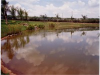 /album/lago/lagos-01-jpg/