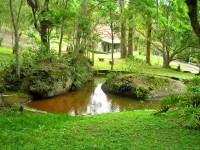 /album/lago/lagos-40-jpg/