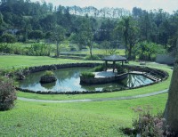 /album/lago/lagos-57-jpg/