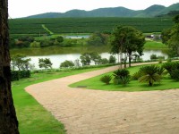 /album/cal%c3%a7amentos/cal%c3%a7amentos-09-jpg/