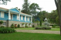 /album/cal%c3%a7amentos/cal%c3%a7amentos-10-jpg/