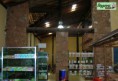 /album/um-tipo-de-pedra%28moledo%29%2c-varios-tipos-de-coloca%c3%a7%c3%a3o/a503-shopping-natureza-jpg/